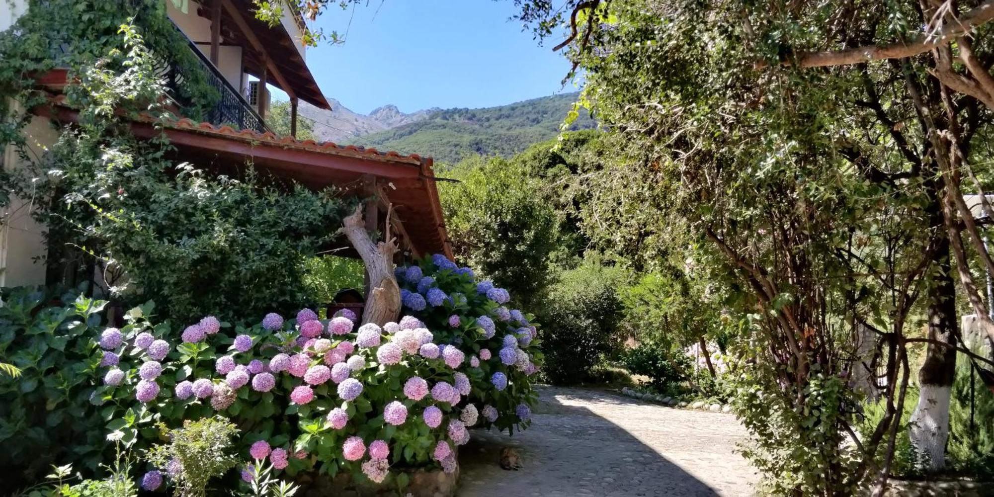 Akamatis Giorgos Hotel Therma  Buitenkant foto