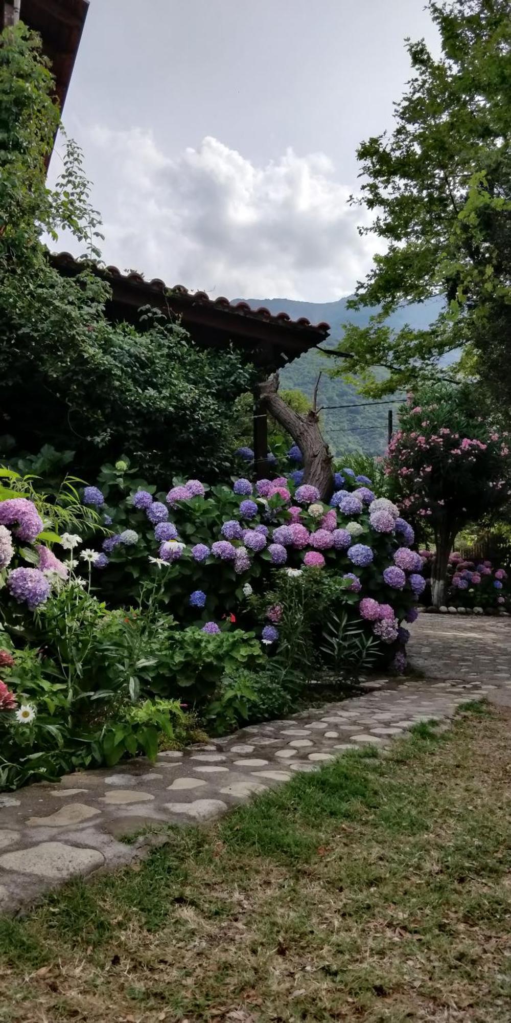Akamatis Giorgos Hotel Therma  Buitenkant foto